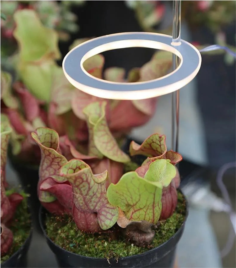 USB LED plant grow light with acrylic mounting stick showing multiple head configuration options