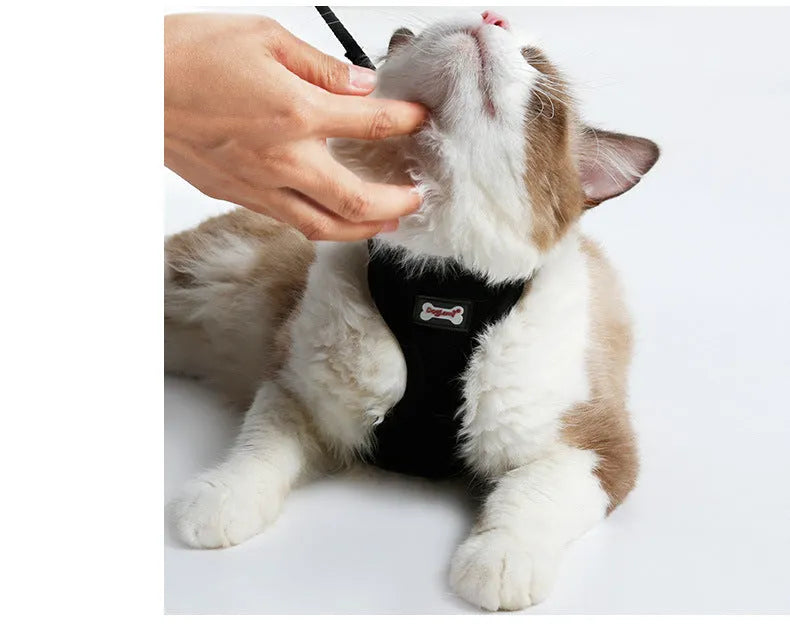 Anti-skid mesh cat harness with adjustable neck and chest, 120cm leash, black or pink