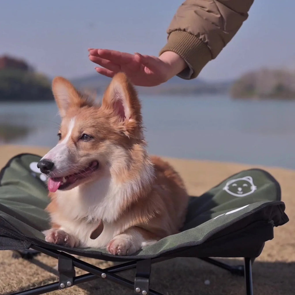 Outdoor pet folding bed with aluminium alloy X-frame and black 600D Oxford cloth sleeping surface
