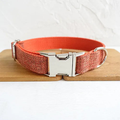 Double-layer thick polyester pet leash with adjustable metal buckle on a neutral background
