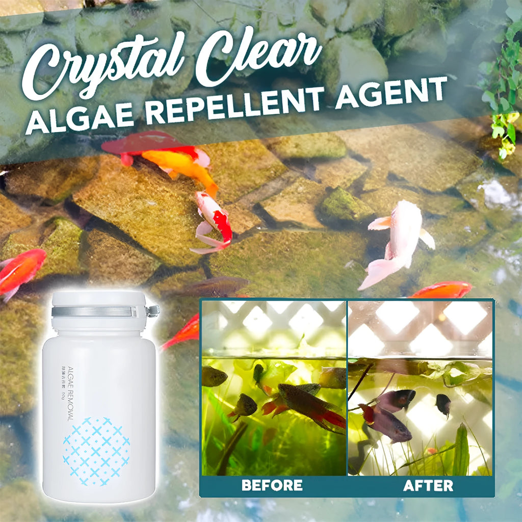 50g net weight algaecide powder for swimming pool and aquarium algae removal