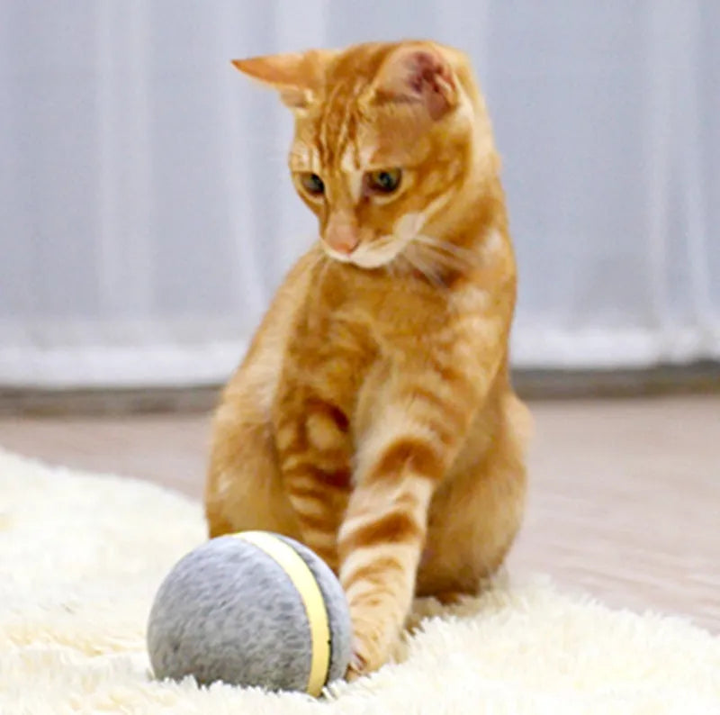 Interactive cat toy bouncing ball with LED lights in blue, USB rechargeable, 3-inch diameter, eco-friendly silicone