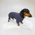 Thin striped four-legged pet clothes in white with black stripes or navy blue, sizes S to XXL