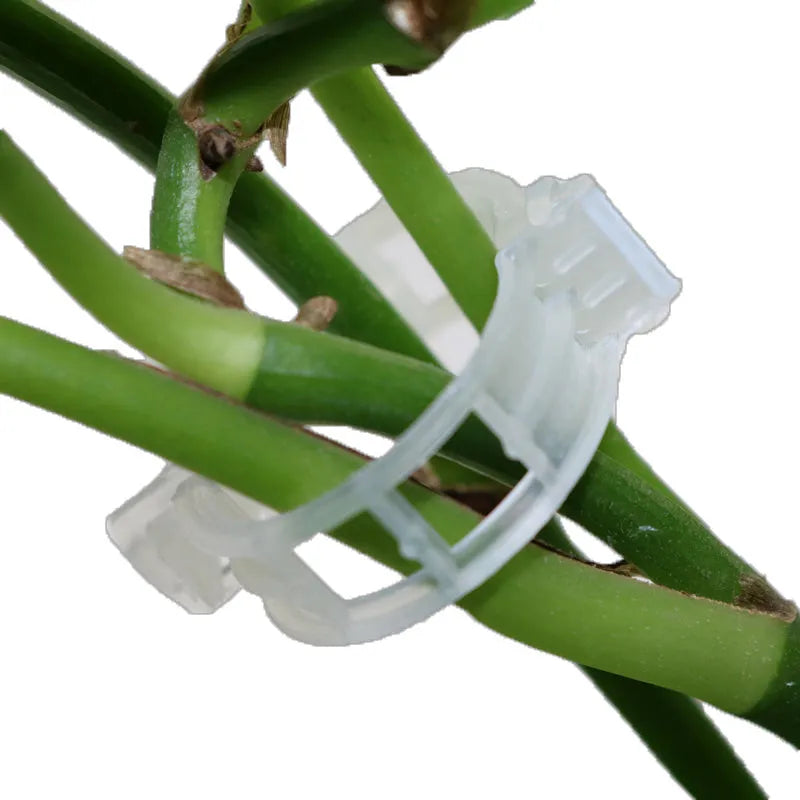 50 plastic garden plant support clips in assorted colours for tomato and flower stems