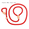 Specialised blast race dog training leash with automatic tightening rope collar in multiple colour options.