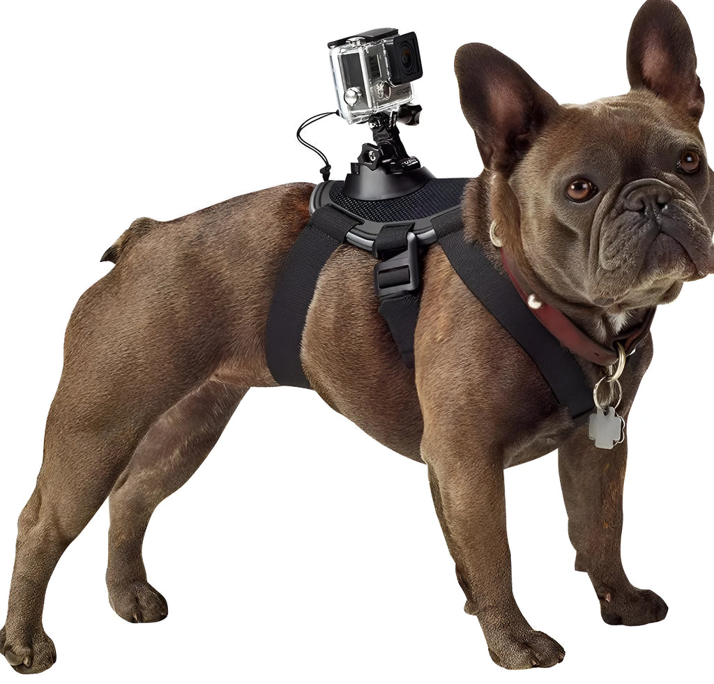 GoPro dog chest strap back mount adjustable for large medium small dogs black colour
