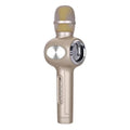 Yaerjia E108 black mobile karaoke microphone with built-in speaker and capacitive pickup.