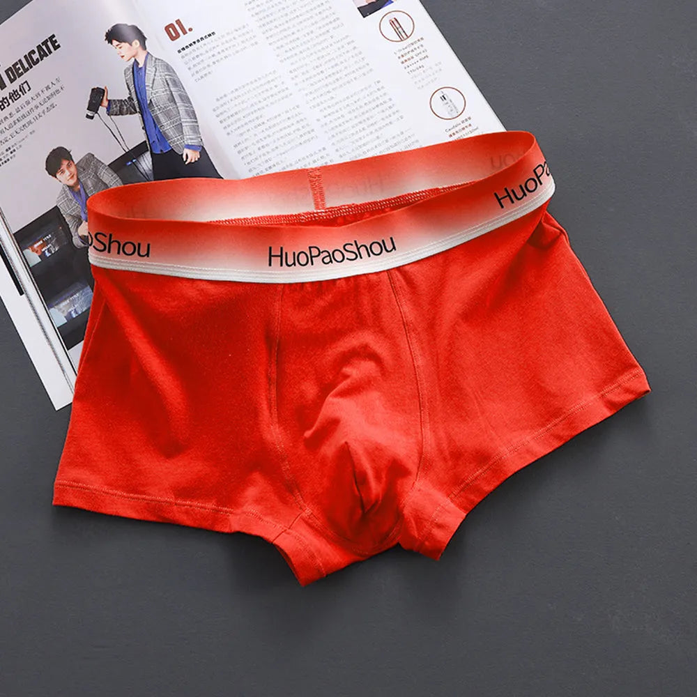 Gunner solid colour low waist cotton boxer briefs for men in multiple colours and sizes