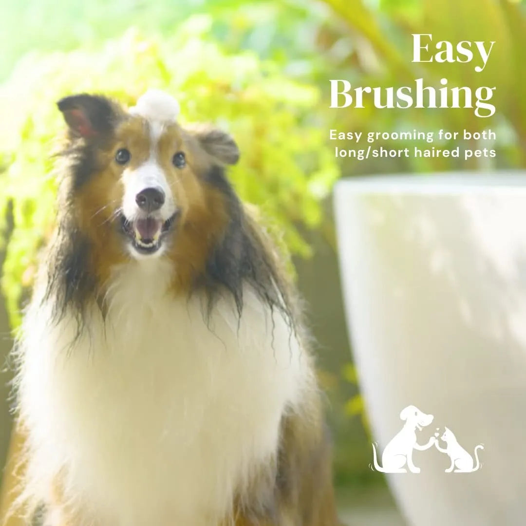 Blue self-cleaning slicker brush for dogs and cats with ergonomic rubber handle.