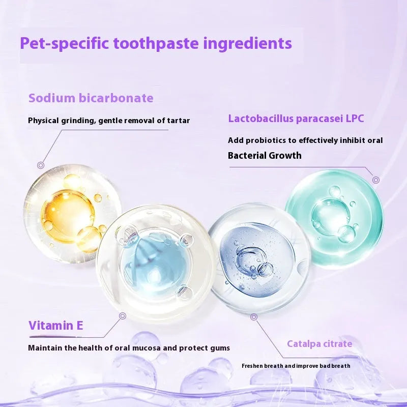 Pet toothbrush pen with 5ml capacity for dog and cat teeth cleaning and tartar removal