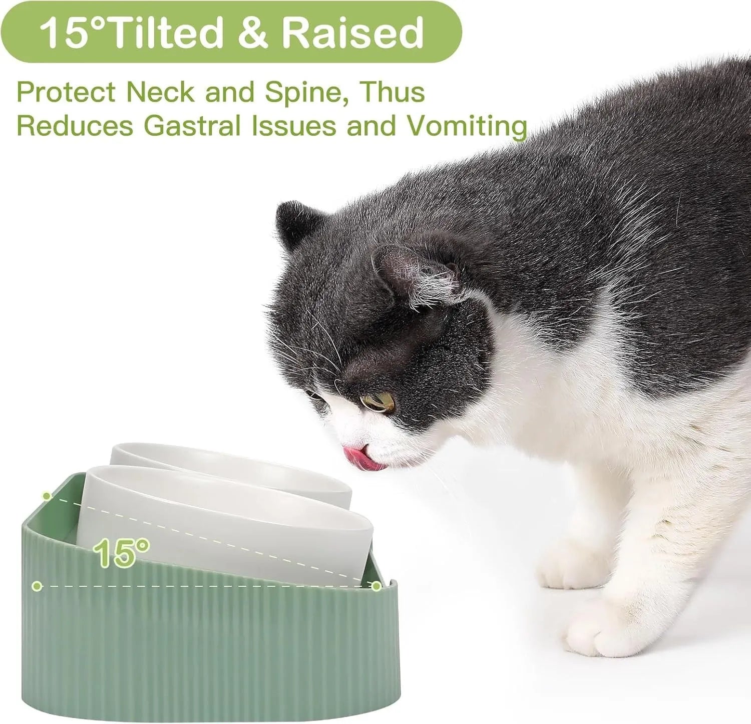Green ceramic raised cat bowl set with tilted stand and non-slip base for food and water