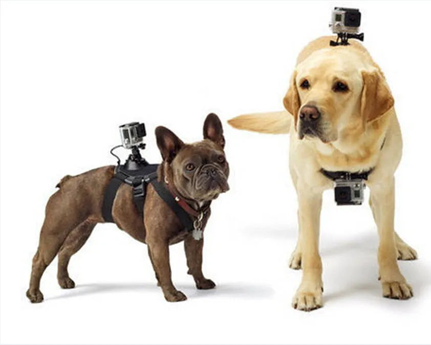 GoPro dog chest strap back mount adjustable for large medium small dogs black colour
