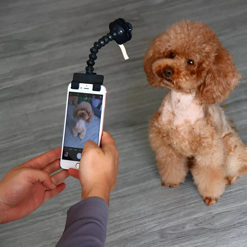 Black pet selfie stick with square clip and removable flower accessory for holding pet ID cards