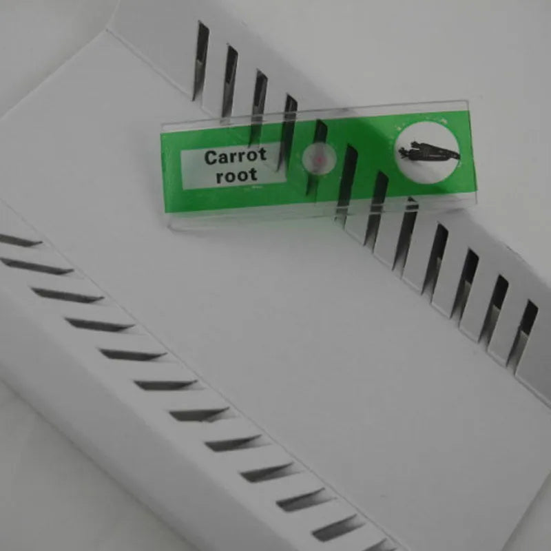 Children's plastic microscope slide set with colour-coded boxes containing plant and animal specimens
