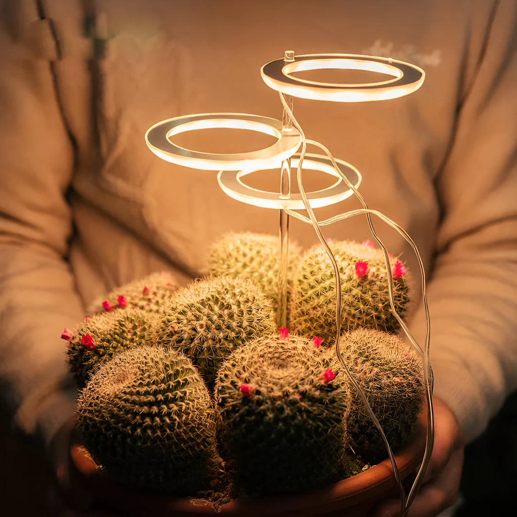 USB LED plant grow light with acrylic mounting stick showing multiple head configuration options
