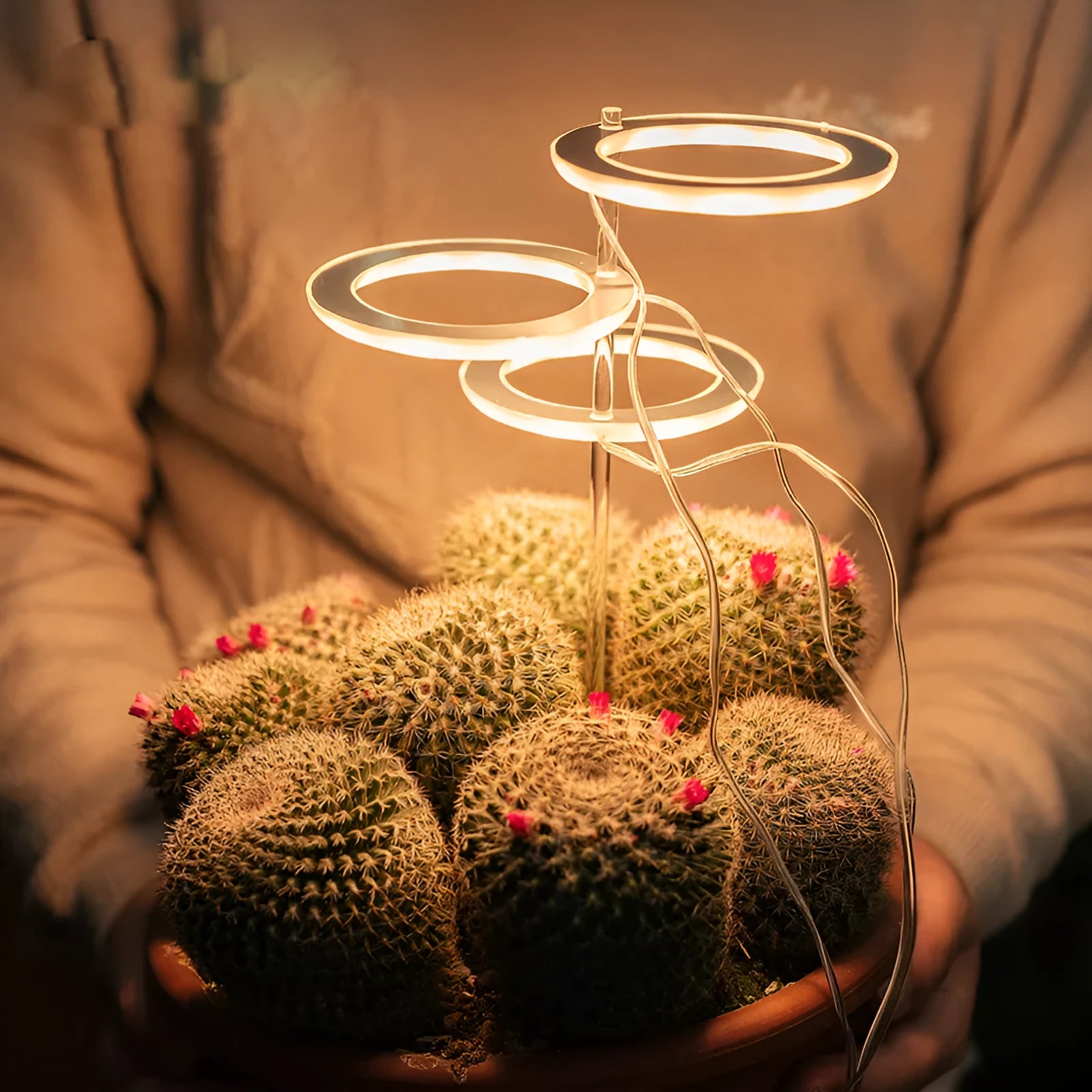 USB LED plant grow light with acrylic mounting stick showing multiple head configuration options