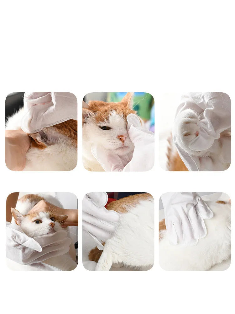 Pack of 4 pet deodorant cleaning wipes with sugarcane and oat protein formula in blue packaging