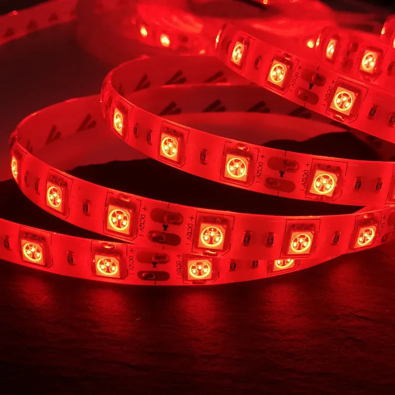 Flexible epoxy waterproof 12V 5050 LED light strip 60pcs/m for outdoor decoration