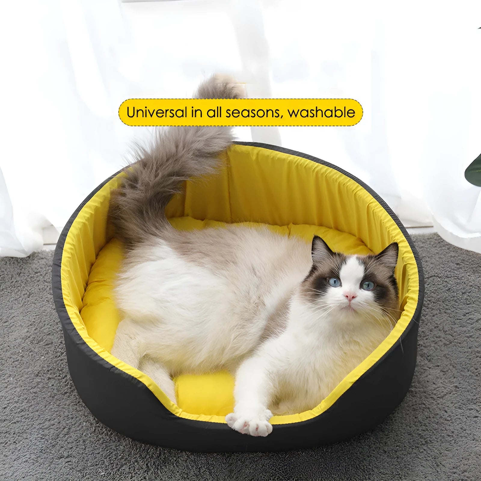 Black and green washable cloth pet kennel for dogs and cats in three sizes.