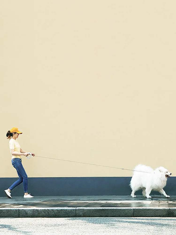 Meng Wangxing UFO retractable dog leash with nylon ribbon flashlight and anti-slip handle for small medium dogs