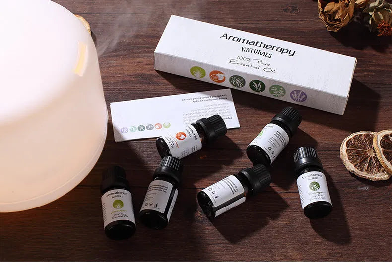 Aromatherapy essential oil set with six 10 (g/ml) boxes including lavender, mint, tea tree, lemongrass, sweet orange, and eucalyptus