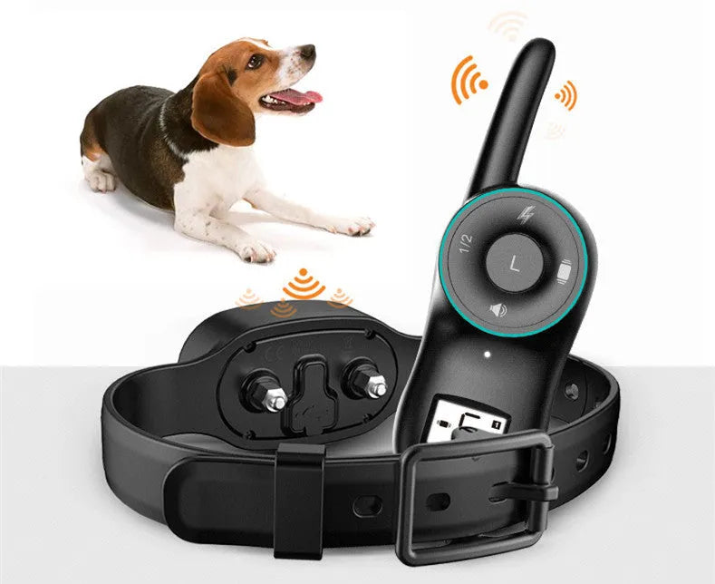 Waterproof rechargeable remote dog training collar in black and orange with adjustable strap