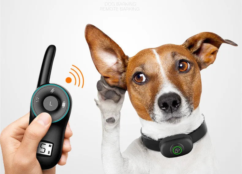 Waterproof rechargeable remote dog training collar in black and orange with adjustable strap