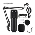 BM800 condenser microphone in shock mount on a cantilever bracket with a large pop filter attached.