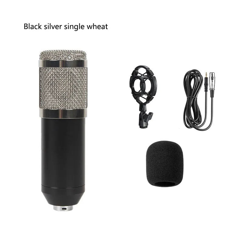 BM800 condenser microphone in shock mount on a cantilever bracket with a large pop filter attached.