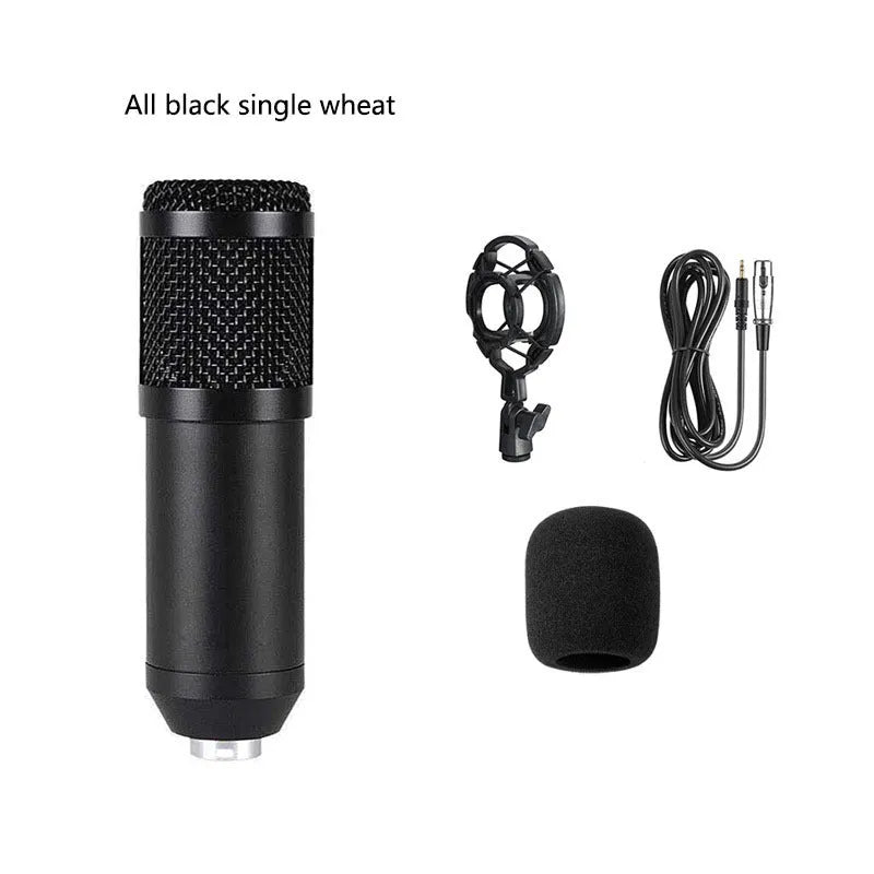 BM800 condenser microphone in shock mount on a cantilever bracket with a large pop filter attached.