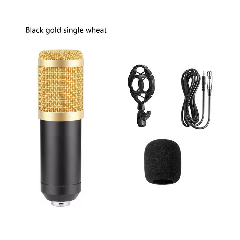 BM800 condenser microphone in shock mount on a cantilever bracket with a large pop filter attached.