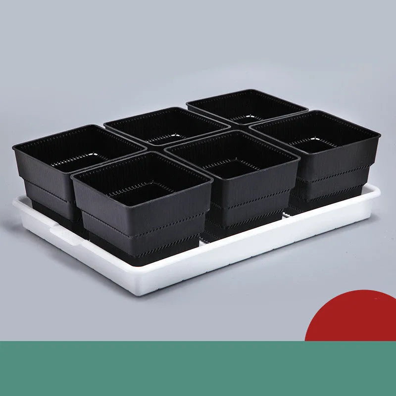 Meishi black and white resin succulent flower pots with tray in organised planting arrangement