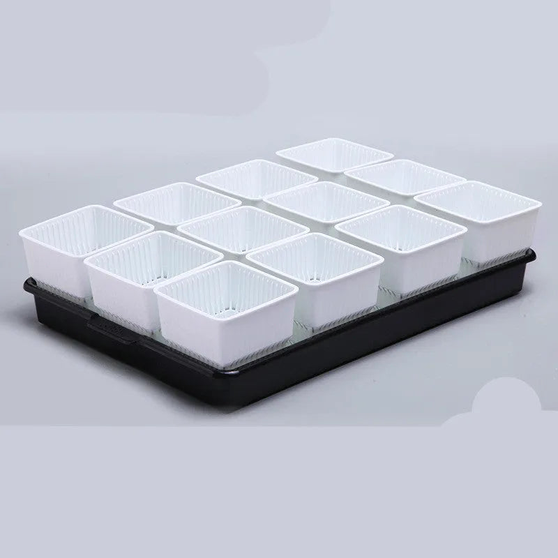 Meishi black and white resin succulent flower pots with tray in organised planting arrangement