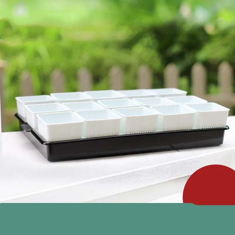 Meishi black and white resin succulent flower pots with tray in organised planting arrangement
