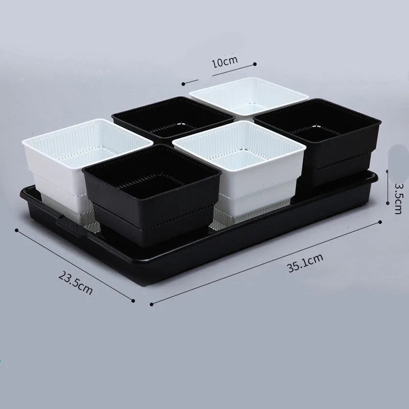 Meishi black and white resin succulent flower pots with tray in organised planting arrangement