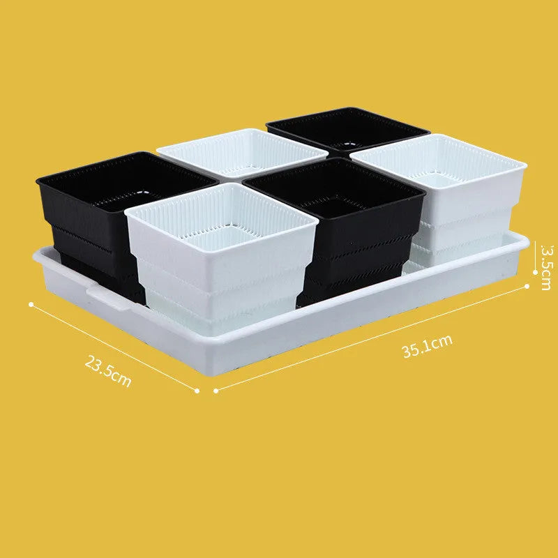 Meishi black and white resin succulent flower pots with tray in organised planting arrangement