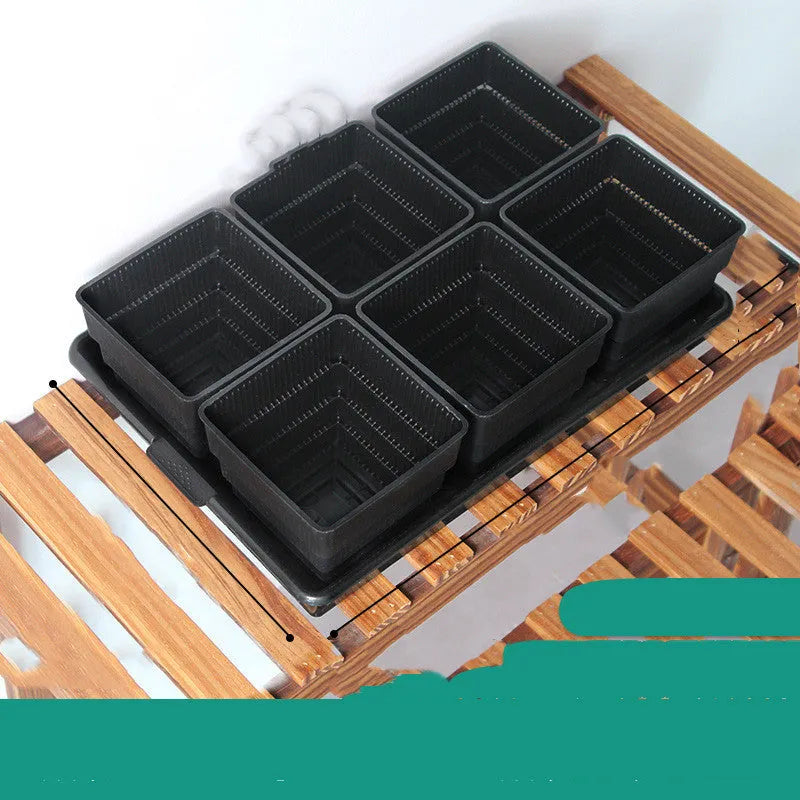 Meishi black and white resin succulent flower pots with tray in organised planting arrangement