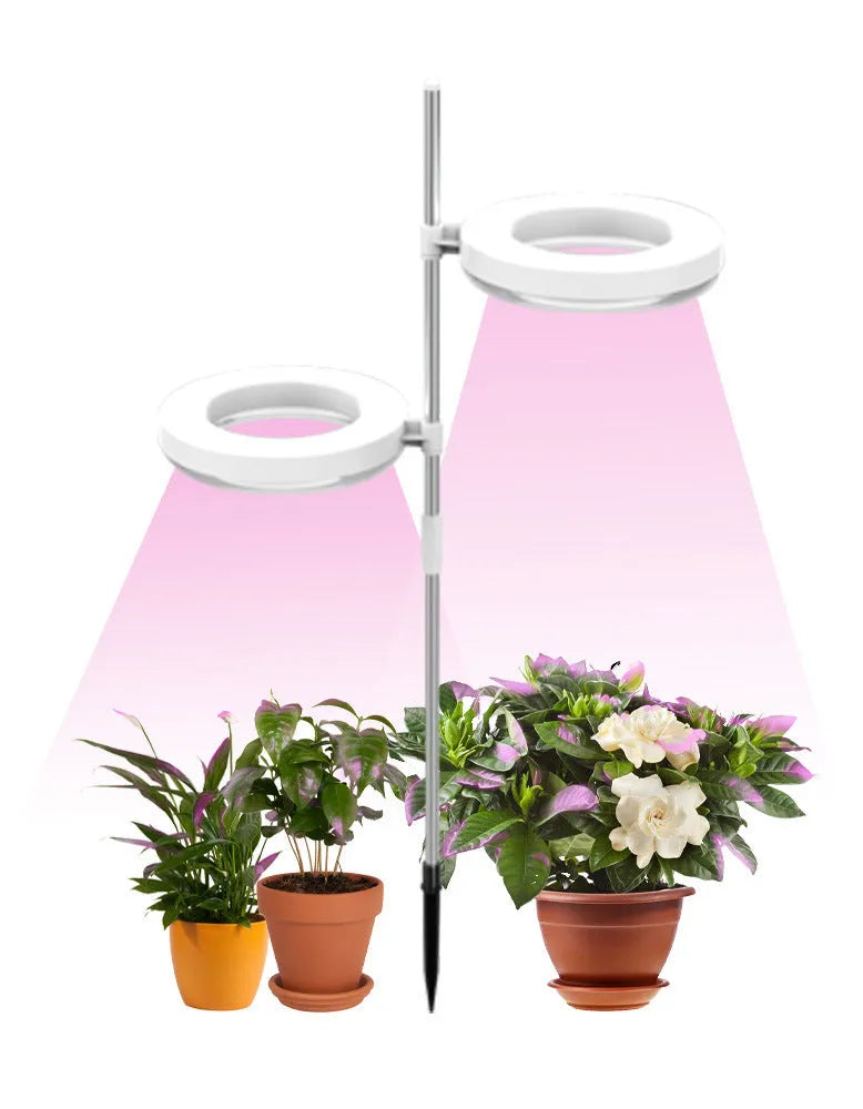 A slender plant growth lamp for desks, showing single and double head options in full spectrum light.
