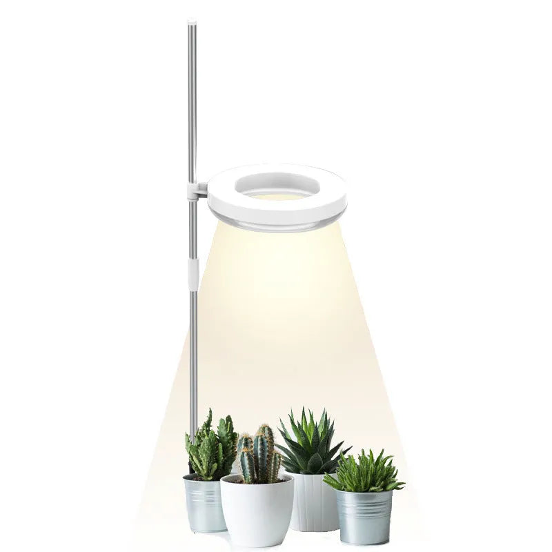 A slender plant growth lamp for desks, showing single and double head options in full spectrum light.