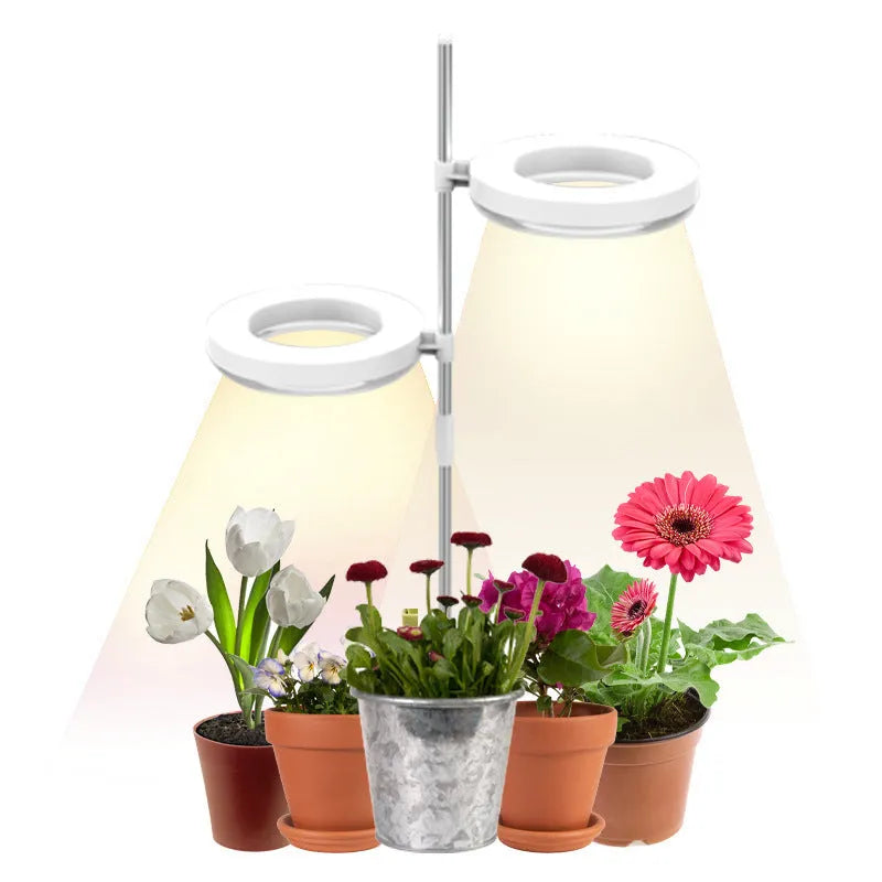 A slender plant growth lamp for desks, showing single and double head options in full spectrum light.
