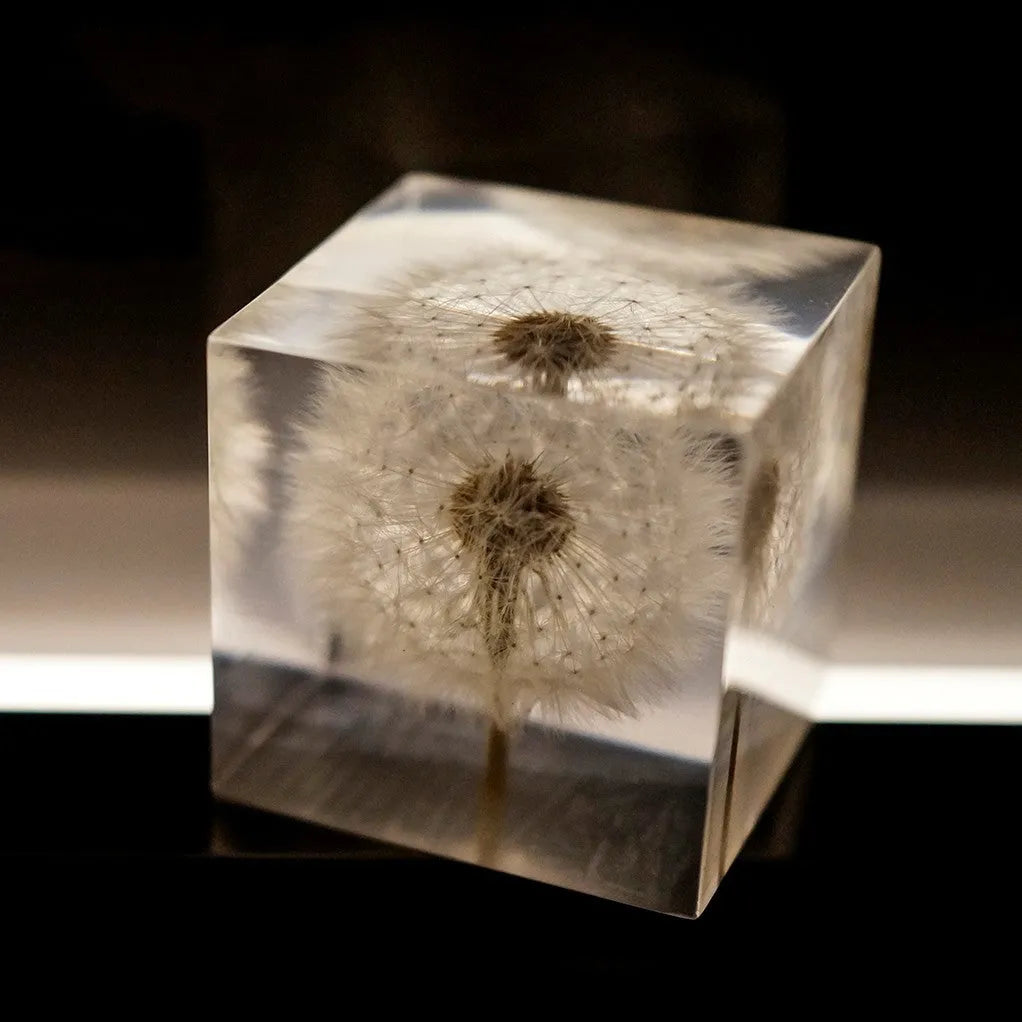 Clear 5cm resin cube with real dandelion inside on wooden box next to USB charging base.