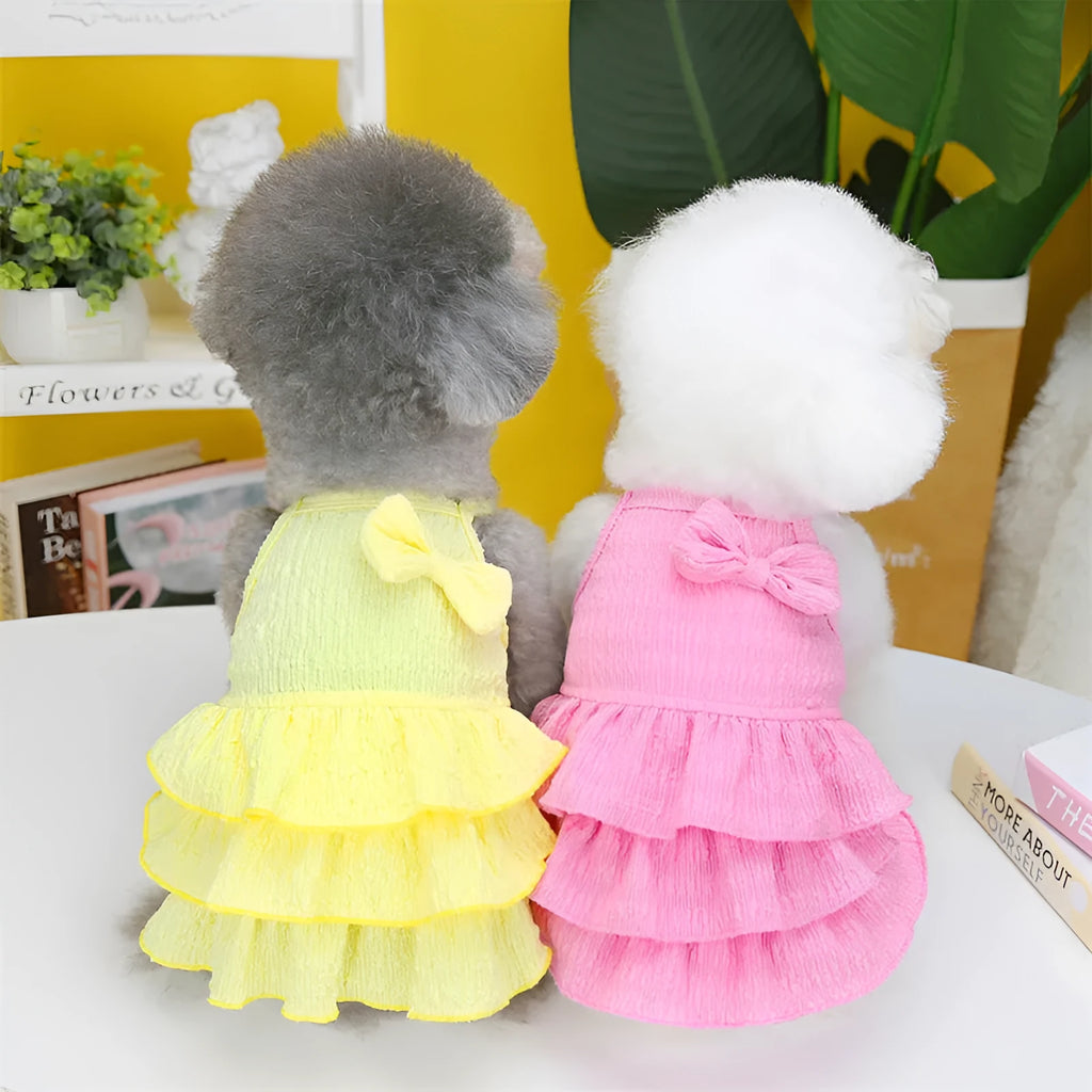 Small dog wearing princess dress with layered skirt in rose red, yellow or green