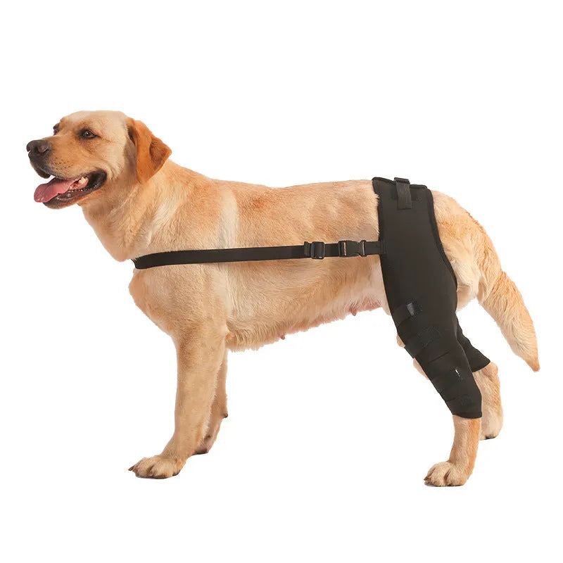 Dog leg protector pair in cloth, black or blue, sizes XS S M L, pet joint protective cover