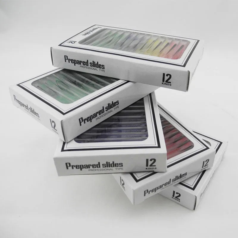 Children's plastic microscope slide set with colour-coded boxes containing plant and animal specimens