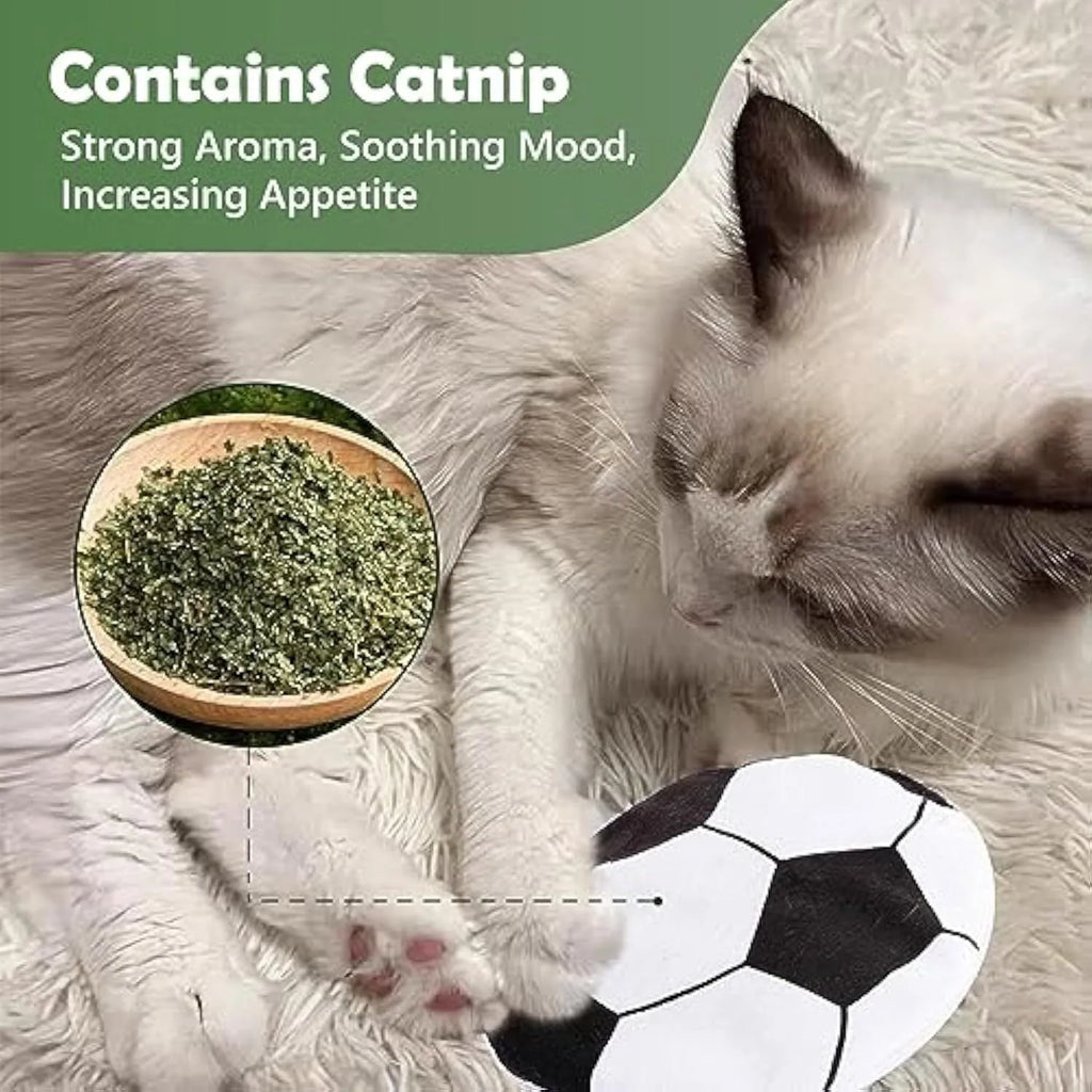 Soft plush flying disc shaped cat toy with sports ball pattern measuring 5x5x2cm