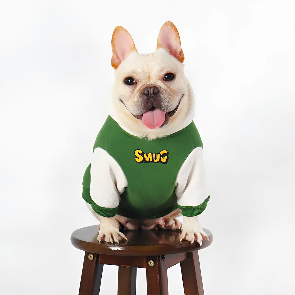 Green cotton dog coat for large dogs, shown in size L, XL, 2XL, 3XL, or 4XL for autumn and winter.