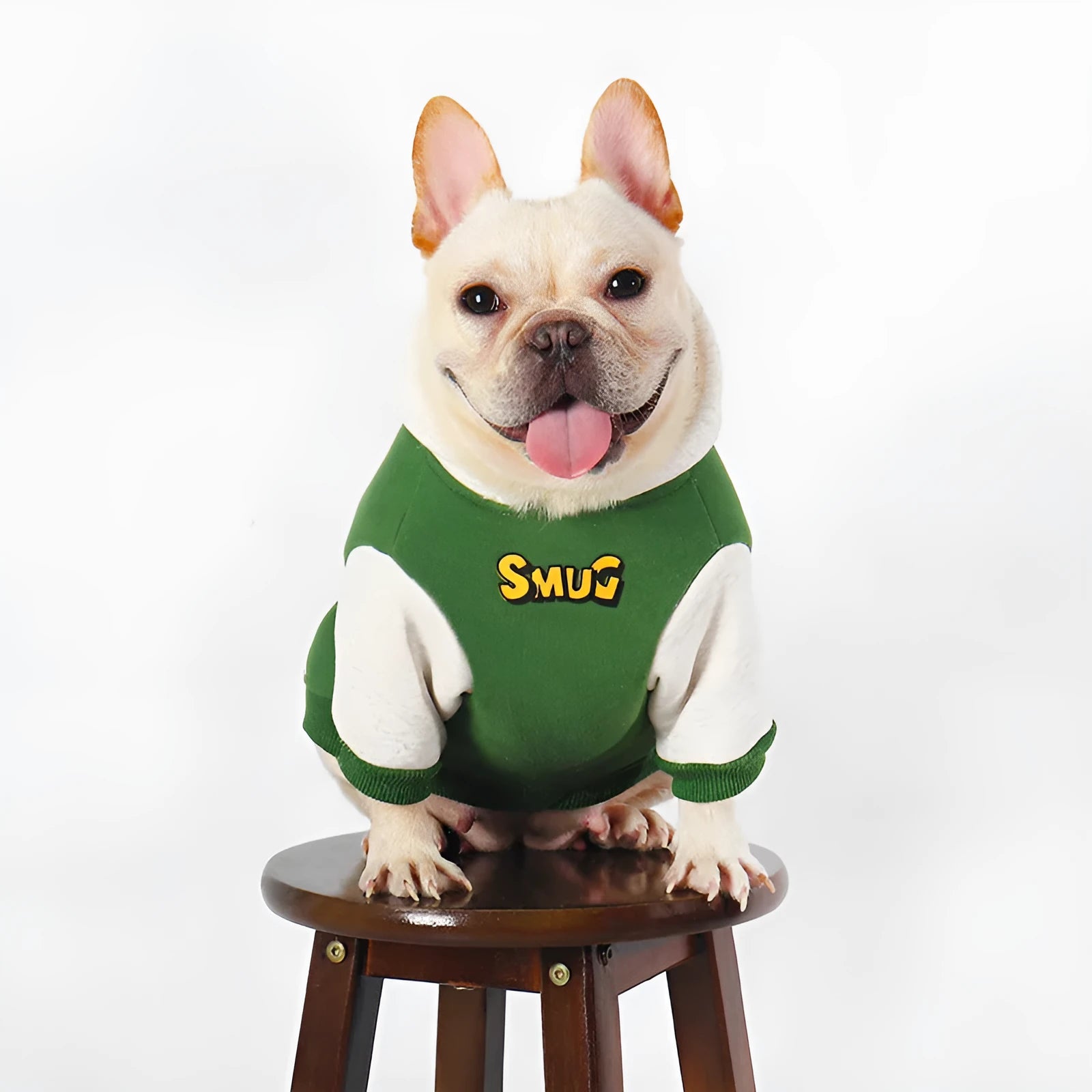 Green cotton dog coat for large dogs, shown in size L, XL, 2XL, 3XL, or 4XL for autumn and winter.