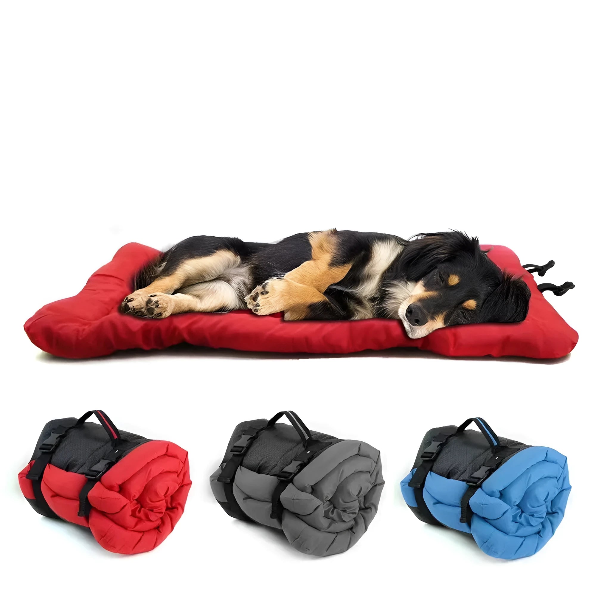 Blue foldable waterproof outdoor dog bed shown both unfolded and folded with buckles.