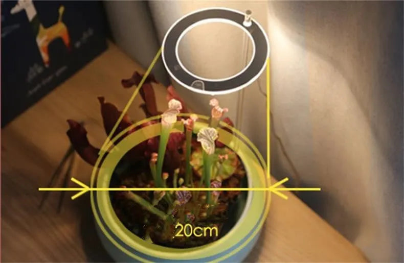 USB LED plant grow light with acrylic mounting stick showing multiple head configuration options