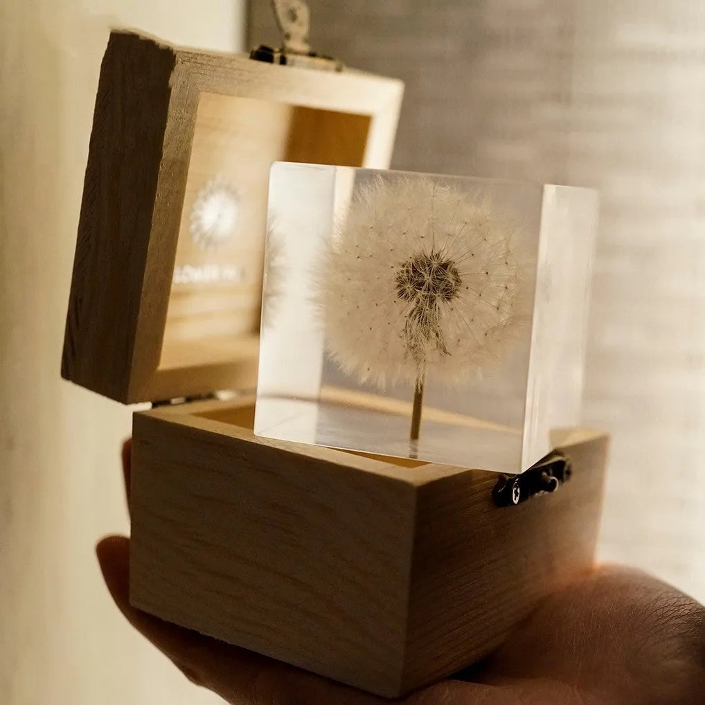 Clear 5cm resin cube with real dandelion inside on wooden box next to USB charging base.